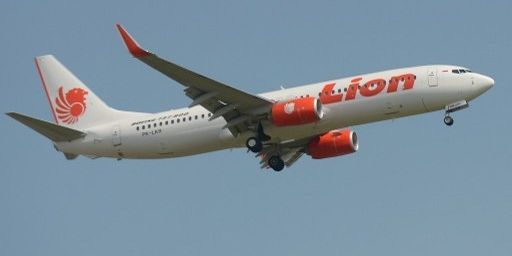 Un appareil (boeing) de la Lion Air (ADEK BERRY / AFP)