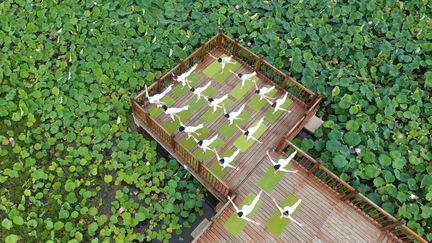 Séance de yoga à&nbsp;Yongzhou, en Chine, pour la Journée internationale du yoga, le 20 juin 2018. (HE HONGFU / XINHUA / AFP)