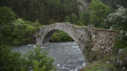 Aussi appelé pont du Moulin, le pont d'Ondres (Alpes-de-Haute-Provence), menace de s'effondrer. Construit à la fin du XVIIème siècle, l'édifice est aujourd'hui impraticable. Le pont est abandonné en 1881, après la construction d'une autre structure&nbsp;plus en amont du Verdon, la rivière enjambée par le pont. (BERTRAND LANGLOIS / AFP)