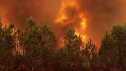 Mercredi 10 août, les pompiers s’apprêtaient à vivre une nuit longue et difficile face aux incendies dévastateurs en Gironde et dans les Landes. (FRANCEINFO)