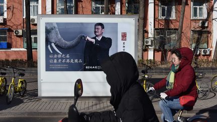 Depuis fin décembre 2017, la Chine a interdit le commerce de l'ivoire sur son territoire et a renforcé la lutte contre son trafic. En janvier 2018, une campagne d'affichage était lancée dans les rues de Pékin pour sensibiliser le grand public. (GREG BAKER / AFP)