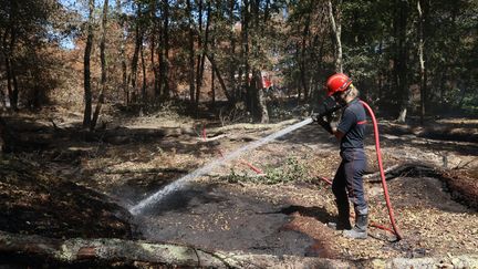 Un sapeur pompier mobilisé pour surveiller le feu de Landiras (Gironde), le 24 août 2022.&nbsp; (FABIEN COTTEREAU / MAXPPP)