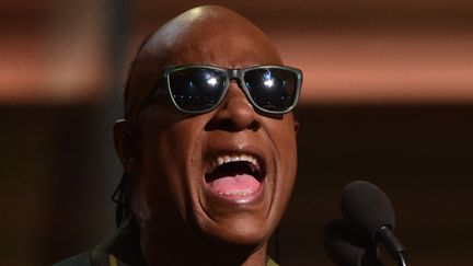 Stevie Wonder a modifié les paroles de sa chanson "My Chérie Amour" en "My Michelle Amour" en l'honneur de Michelle Obama.
 (Robyn Beck / AFP)