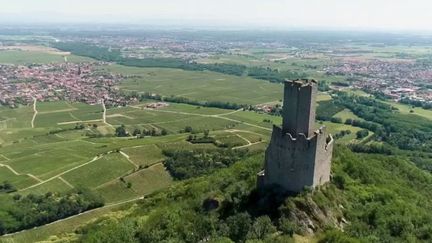 Alsace : la richesse des châteaux-forts