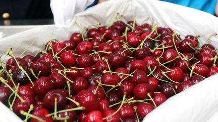 Cerises. (WANG XINPENG / IMAGINECHINA / AFP)