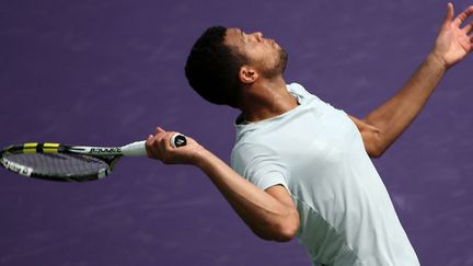 Jo Wilfried Tsonga (MIKE EHRMANN / GETTY IMAGES NORTH AMERICA)