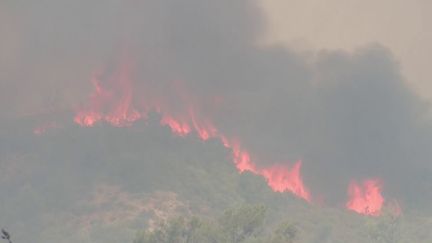 Grèce : l’île de Rhodes est toujours en proie aux flammes (France 2)