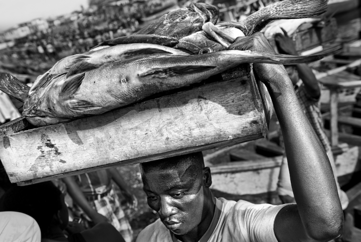 Cet homme débarque du poisson pêché la nuit. (THOMAS TOMASZEWSKI / GEO)