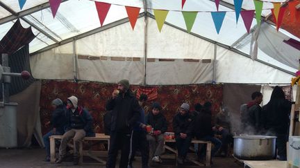 Dans le restaurant Ashram Kitchen, dans la "jungle" de Calais, mardi 23 février 2016.&nbsp; (MARIE-VIOLETTE BERNARD / FRANCETV INFO)