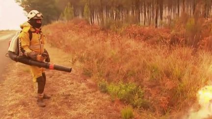 Jeudi 11 août, pour lutter contre la progression des flammes, les pompiers utilisent une nouvelle méthode :&nbsp;des pare-feux.&nbsp;Cela consiste à enflammer de la végétation à titre préventif pour limiter la propagation de l’incendie initial.&nbsp; (FRANCE 2)