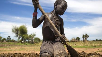 Une adolescent prépare la terre de sa famille avant la palntation du sorgho, céréale cultivée pour ses graines et son fourrage. (ALBERT GONZALEZ FARRAN / AFP )