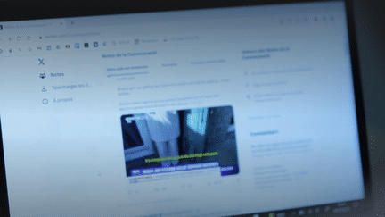 VRAI OU FAUX. Les notes Twitter sont-elles un allié contre la désinformation ? (franceinfo)
