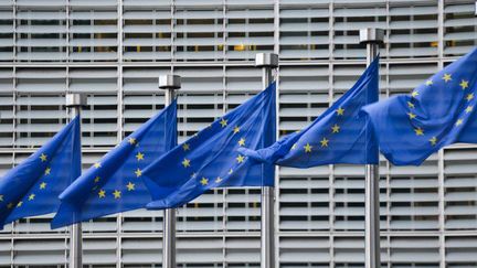 Drapeaux de l'Union européenne flottant devant le siège de la Commission à Bruxelles le 19 octobre 2016. (AFP - SPUTNIK - ALEXEY VITVITSKY )