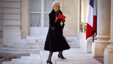 La ministre de l'Apprentissage, Nadine Morano, &agrave; l'Elys&eacute;e (Paris), le 18 janvier 2012. (LIONEL BONAVENTURE / AFP)