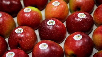 Des pommes bio dans une coopérative de Saint-Yrieix-la-Perche (Haute-Vienne), le 21 décembre 2018.&nbsp; (THOMAS SAMSON / AFP)