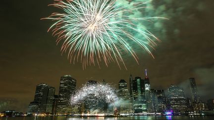 Les feux d'artifice illuminent la nuit du 4 juillet 2015, pour la f&ecirc;te nationale am&eacute;ricaine, &agrave; New York (Etats-Unis).&nbsp; (CEM OZDEL / ANADOLU AGENCY / AFP)