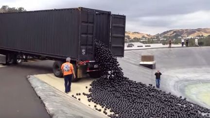 Les boules noires versées dans le réservoir du Van Norman Complpex à Sylmar . (copie d&#039;écran FTV)