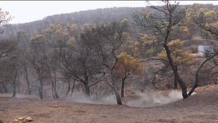 Incendies en Grèce : les habitants se sentent abandonnés (France 2)