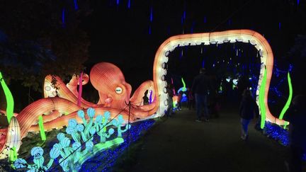 Ardèche : au Safari de Peaugres, un spectacle lumineux et féérique (FRANCE 3)