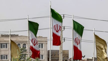 Des drapeaux iraniens à Téhéran le 4 juillet 2022.&nbsp; (ATTA KENARE / AFP)