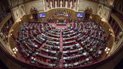 L'hémicycle du Sénat, au Palais du Luxembourg à Paris, le 17 novembre 2016. &nbsp;&nbsp; (LIONEL BONAVENTURE / AFP)