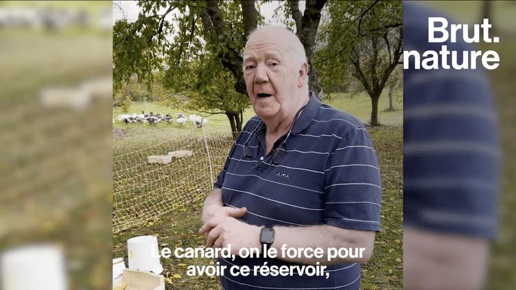 VIDEO. Il prouve qu'il est possible de faire du foie gras sans gavage