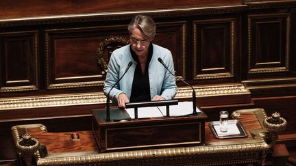 La Première ministre, Elisabeth Borne, face au Sénat, à Paris, le 26 octobre 2022. (MAXIME GRUSS / HANS LUCAS / AFP)