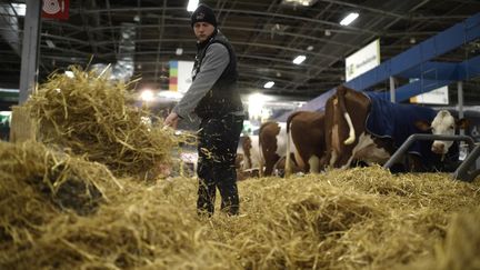 Un agriculteur ajoute de la paille pour les vaches au Salon International de l'Agriculture à Paris, le 25 février 2023. (JULIEN DE ROSA / AFP)