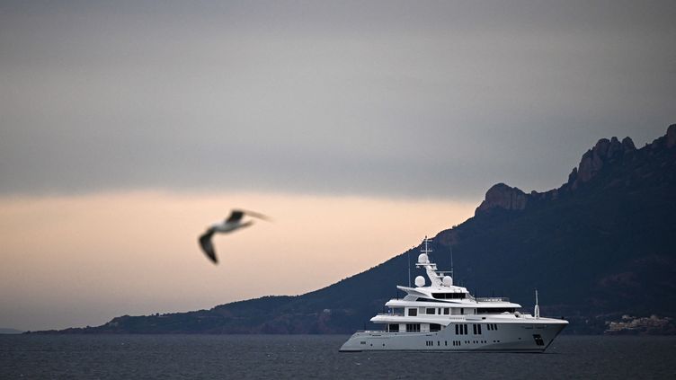 Festival de Cannes : un collectif veut 