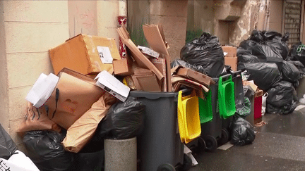 Grève des éboueurs : des poubelles de plus en plus pleines au cœur des villes (FRANCE 3)