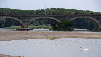 Phot d'illustration de la sécheresse dans la Loire.&nbsp; (MAXPPP)