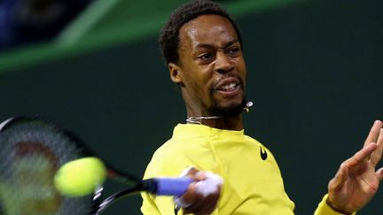 Gaël Monfils  (MARWAN NAAMANI / AFP)