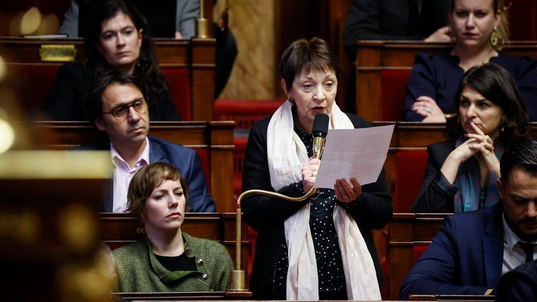 La députée LFI Andrée Taurinya lors d'une séance de questions au gouvernement, le 6 décembre 2022. (THOMAS PADILLA / MAXPPP)