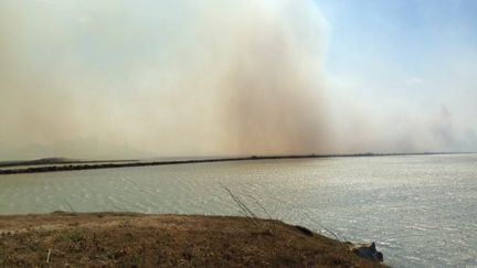 Le nuage de fum&eacute;e de l'incendie, qui a provoqu&eacute; 130 km de bouchons pr&egrave;s de Narbonne (Aude), mercredi 30 juillet. ( FRANCE 3 LANGUEDOC-ROUSSILLON)