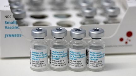 Des ampoules vides contenant le vaccin contre la variole du singe du laboratoire danois Bavarian Nordic, le 14 juillet 2022 à Munich, en Allemagne. (SVEN HOPPE / DPA / AFP)