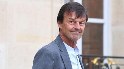 Nicolas Hulot quitte le palais de l'Elysée, à Paris, le 6 juin 2018. (ALAIN JOCARD / AFP)