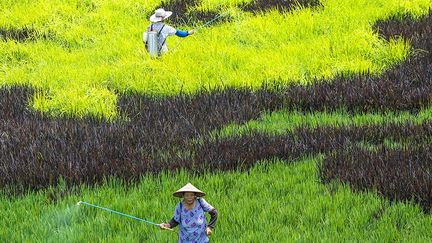  (Tang Dehong / XINHUA / AFP)