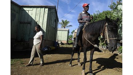 née elle aussi en République Dominicaine, devant leur domicile de Batey La Higuera.
 
 
 
 (REUTERS / Ricardo Rojas )