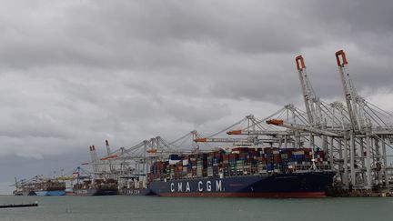 Porte-conteneurs à quai dans le bassin de Port 2000, au Havre (Seine-Maritime). Au premier plan, le CMA-CGM Bougainville, l'un des plus gros du monde. (GREGOIRE LECALOT / FRANCEINFO / RADIO FRANCE)