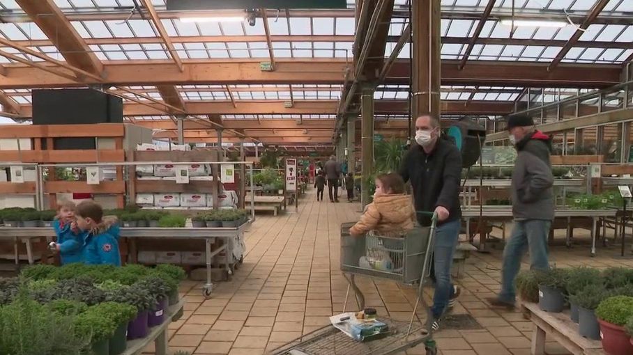 Jardineries : les ventes ont progressé dans les magasins spécialisés