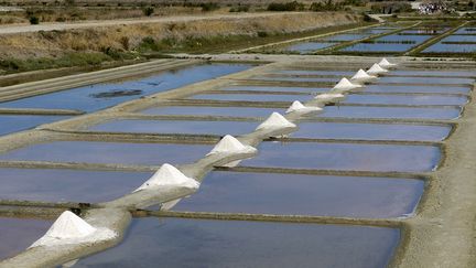 Charente-Maritime : fenêtre sur le sel de l'Île de Ré