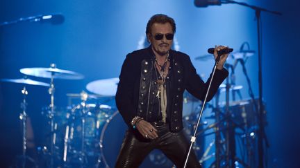 Le chanteur Johnny Hallyday lors d'un concert aux Francofolies de La Rochelle (Charente-Maritime), le 14 juillet 2015. (XAVIER LEOTY / AFP)