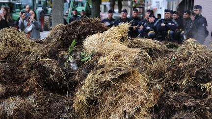 Des tracteurs ont déversé du fumier à Strasbourg, le 21 octobre 2024 (photo d'illustration). (CEDRIC JOUBERT / MAXPPP)