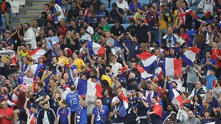 Des supporters français dans le stade Al Janoub lors du match de la France face à l'Australie, au Qatar, le 22 novembre 2022. (LE PARISIEN / ARNAUD JOURNOIS / MAXPPP)