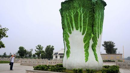 Un homme prend en photo la statue d'un chou chinois install&eacute;e devant une entreprise d'agriculture biologique &agrave; Suzhou (Chine), le 16 ao&ucirc;t 2014. (REUTERS)