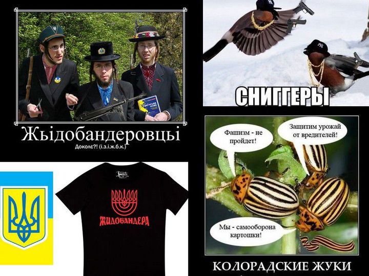 «Judéo-banderistes» ; mix de chandelier à 7 branches et de trident ukrainien sur des tee-shirts ; bouvreuils et doryphores pro-russes autoproclamés «brigade d'autodéfense des pommes de terre» : des exemples de «mèmes» qui circulent sur la Toile. (Twitter)