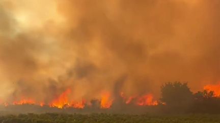 Incendies : la traque des pyromanes se poursuit (FRANCEINFO)