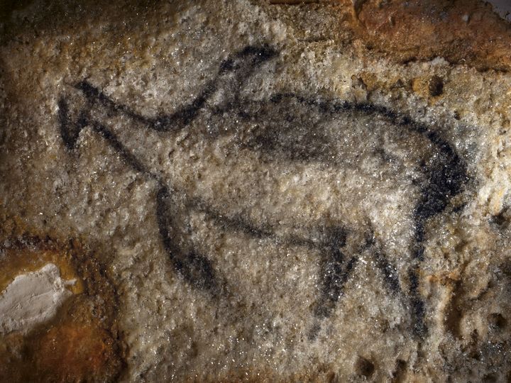 Grotte Cosquer, Panneau des pingouins (détail)&nbsp; (© Kléber Rossillon & Région Provence-Alpes-Côte d’Azur / Sources 3D MC)