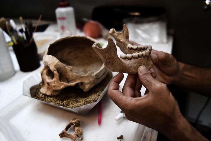 Un conservateur en archéologie travaille sur un crâne humain à l'École américaine d'archéologie d'Athènes, 2.500 ans après le massacre du Phalère (7 juillet 2017)
 (Aris Messinis / AFP)