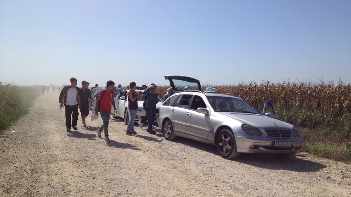 Des taxis d&eacute;posent des migrants &agrave; Sid (Serbie). (ELISE LAMBERT/FRANCE TV INFO)